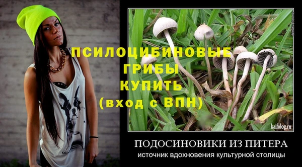 PSILOCYBIN Лабытнанги
