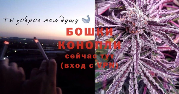 дживик Ладушкин