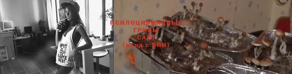 ALPHA-PVP Кукмор
