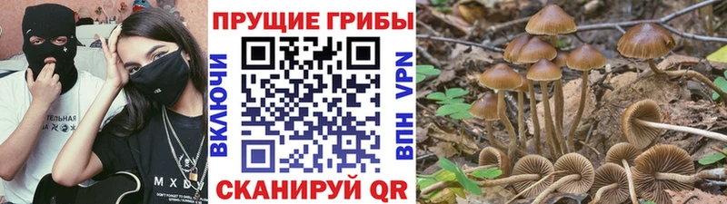 Галлюциногенные грибы мицелий  где найти   Кушва 