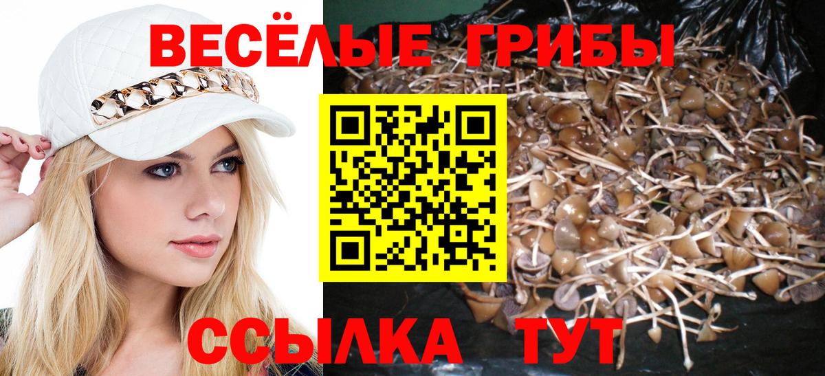 Кушва  где купить   Вход с VPN  Галлюциногенные грибы Psilocybine cubensis 